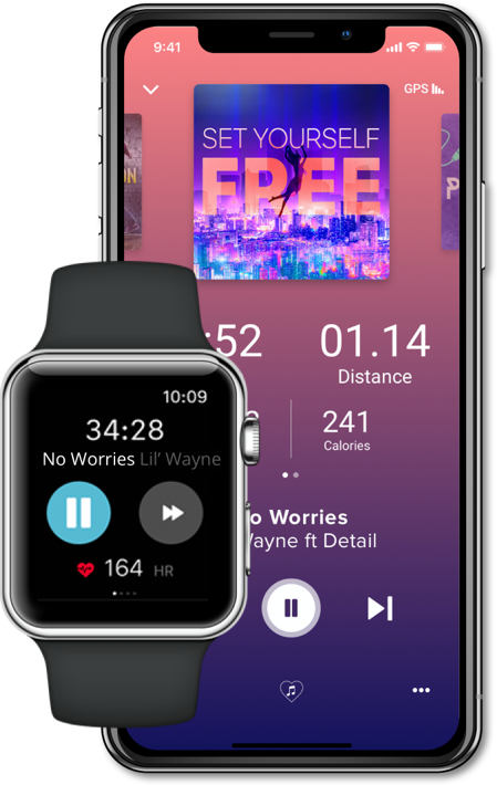 Apple Watch Music Control